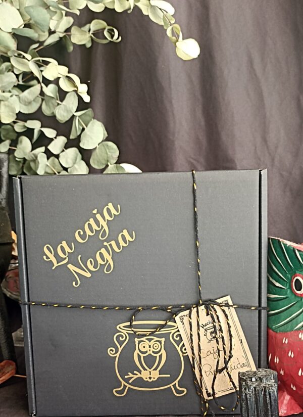 Caja negra